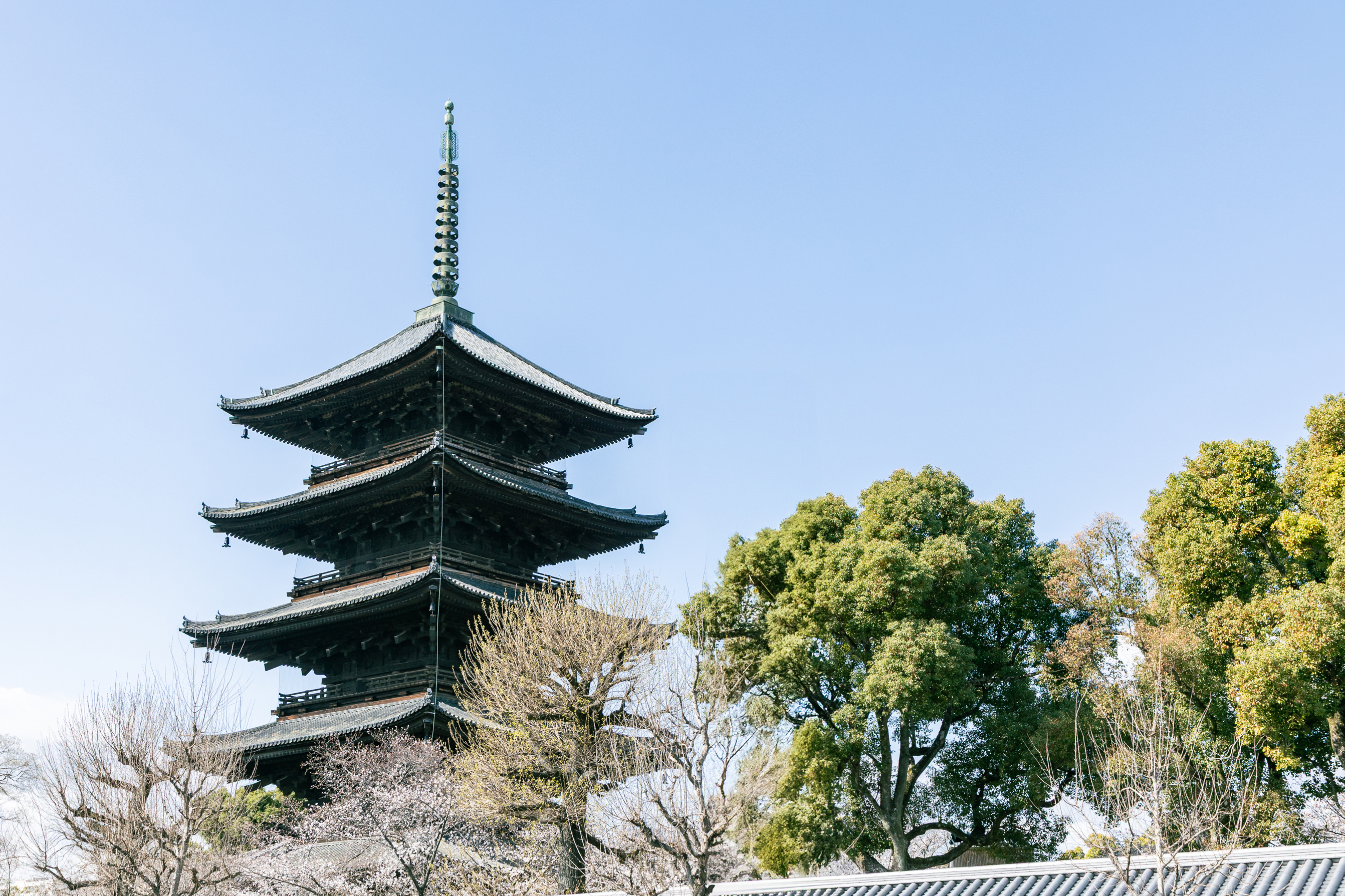 東寺前歯科クリニック　画像1