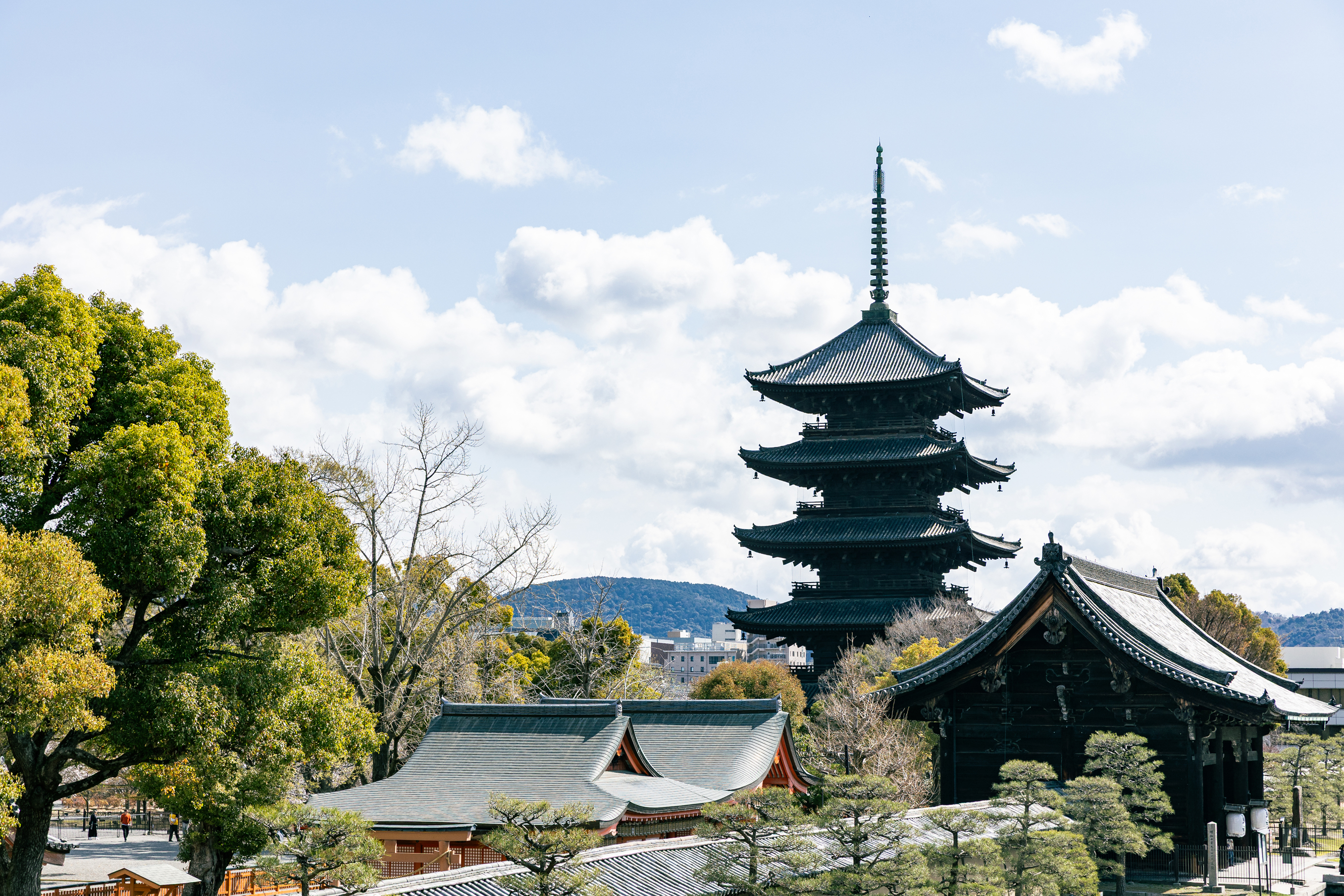 東寺前歯科クリニック　画像3
