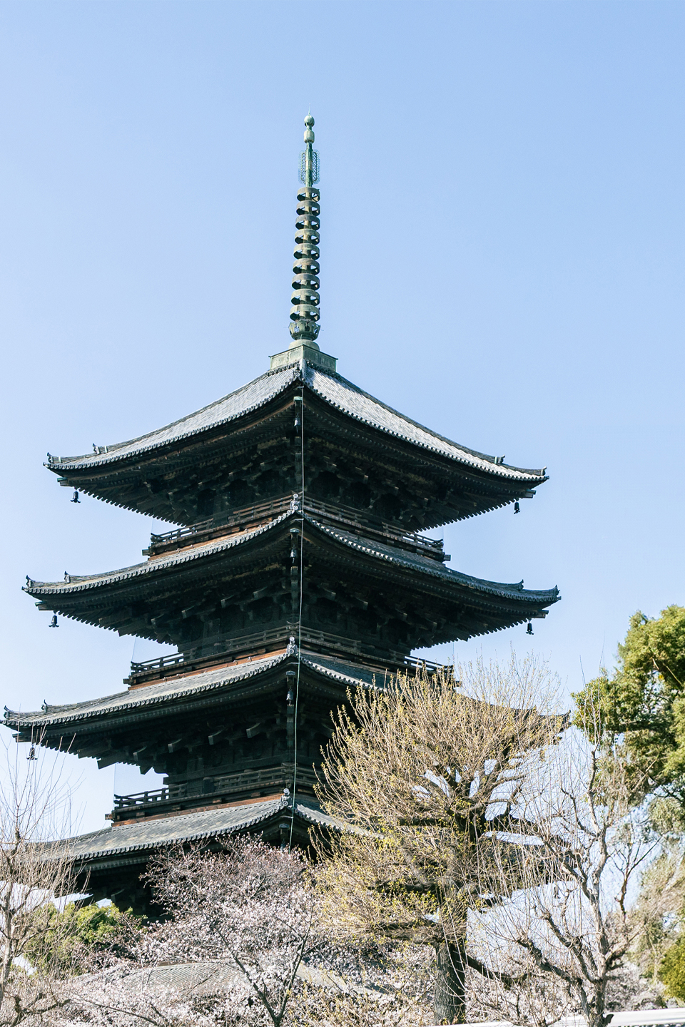 東寺前歯科クリニック　画像1