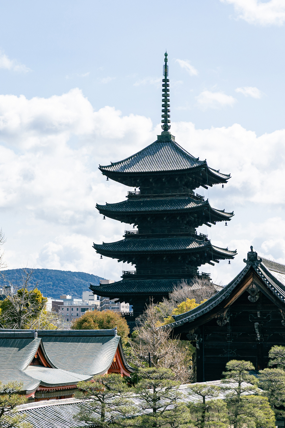 東寺前歯科クリニック　画像2